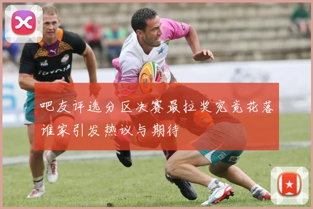 吧友评选分区决赛最拉奖究竟花落谁家引发热议与期待